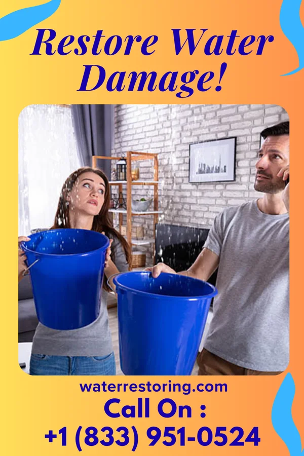 water restoration Crown Damage Recovery Brothers Louin