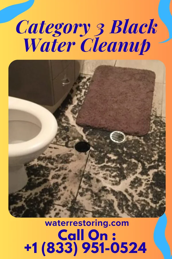 Category 3 Black Water Cleanup in Louin, MS