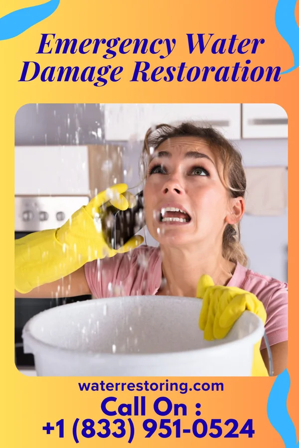 Emergency Water Damage Restoration in Louin, MS