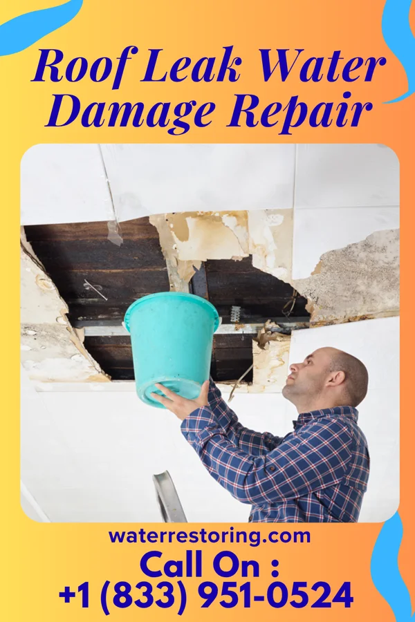 Roof Leak Water Damage Repair in Louin, MS